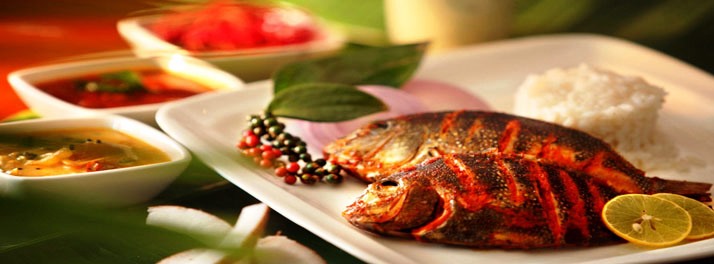 1022/The Elephant Court - Thekkady 11.jpg